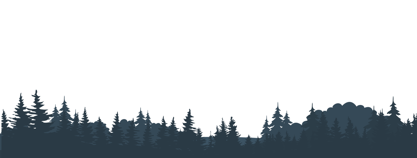 Alaskan Forest