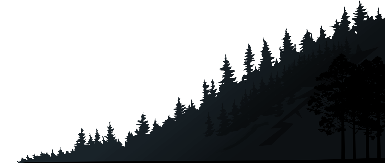 Alaskan Treeline